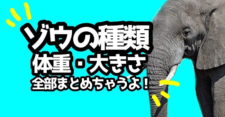象の種類一覧】ゾウの体重や種類や寿命 (画像付き)
