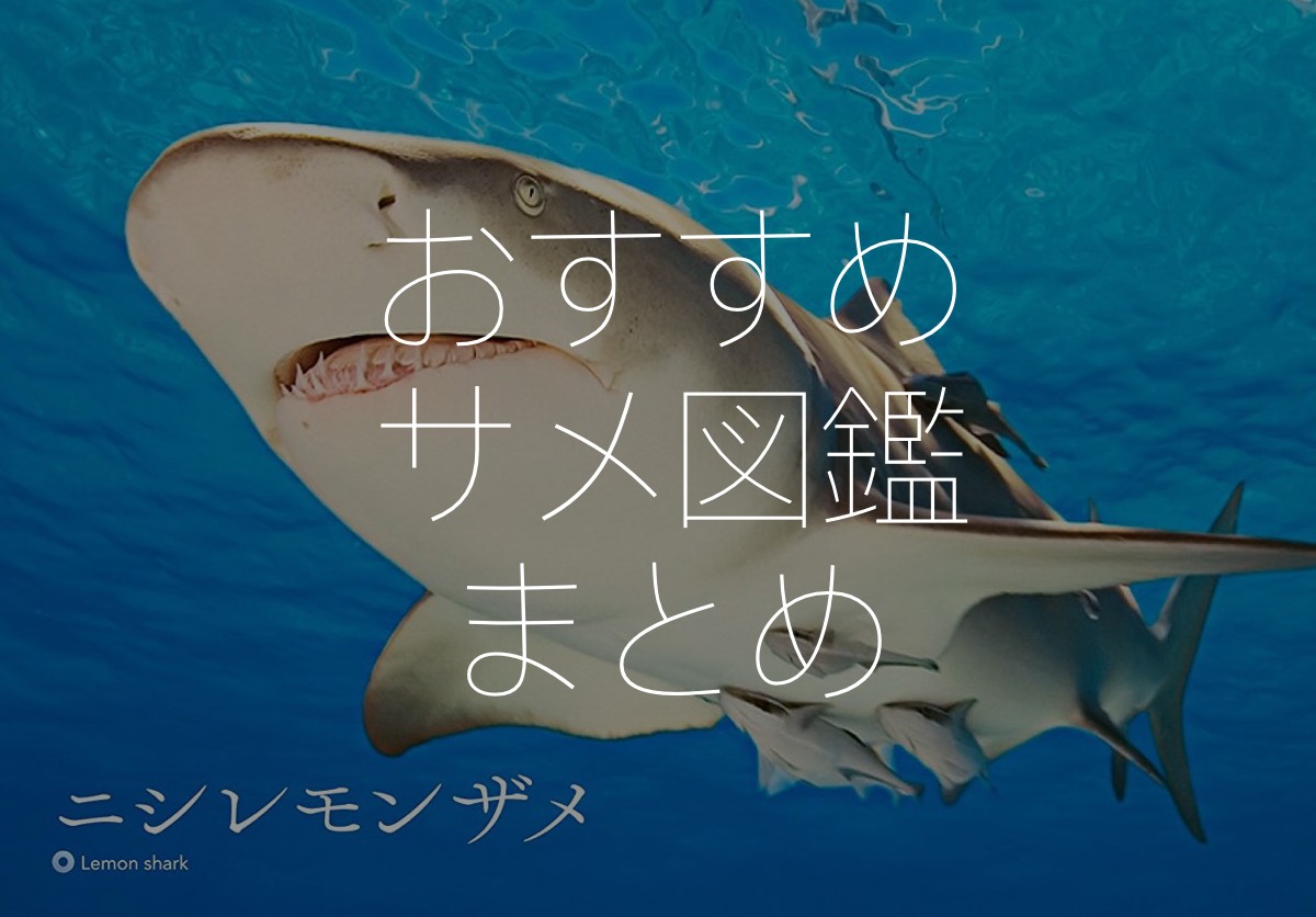 サメガイドブック 世界のサメ・エイ図鑑 ブランド名